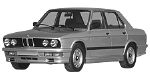 BMW E28 P1A0A Fault Code