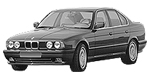 BMW E34 P1A0A Fault Code